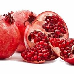 茶文化金芽熟散茶3.11-13