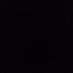 digimomprenuer@gmail.com