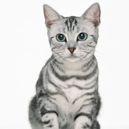 NARRAÇÃO CLINICA RIO BRANCO