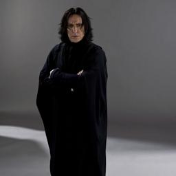 Professor Snape (Alan Rickman)
